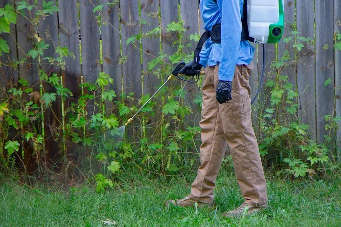 man spraying pest control for property management